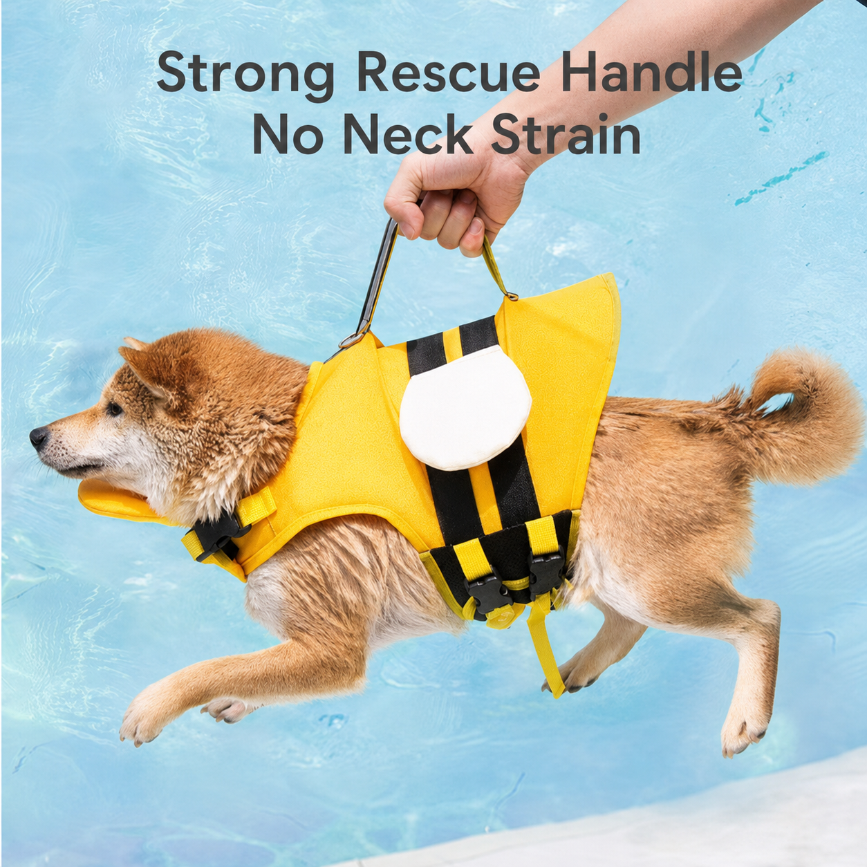 High Buoyancy Safety Swimsuit for Dogs 💧 Prevent him from swallowing water  🐶 Always keeping your head afloat  ⚡ Instant rescue handle  🐾 Ideal for low resistance